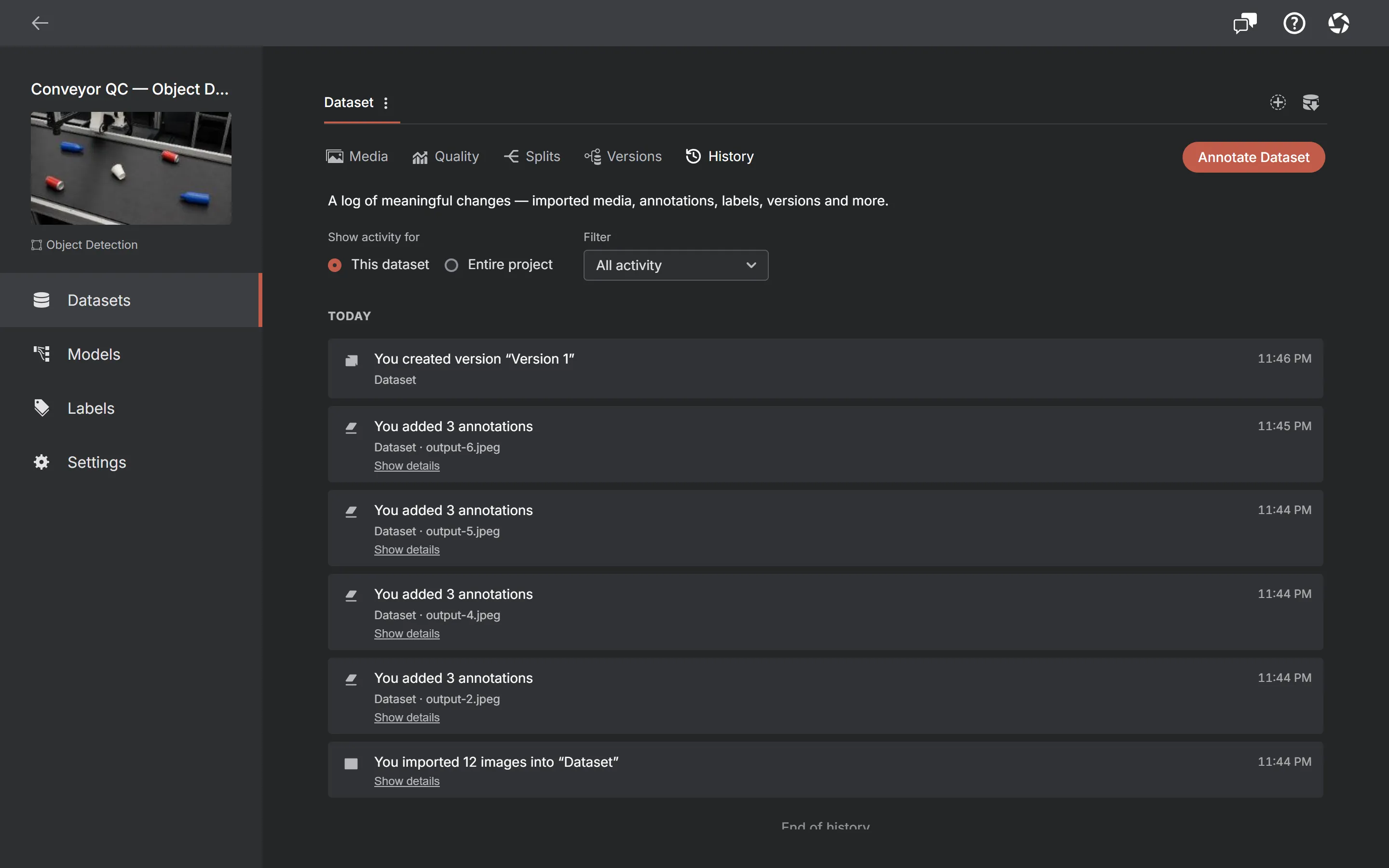 The AnnotateIt History tab: a scope switch between this dataset and the whole project, an activity filter, and a dated list of entries — a version created, several batches of annotations added, and the original media import.