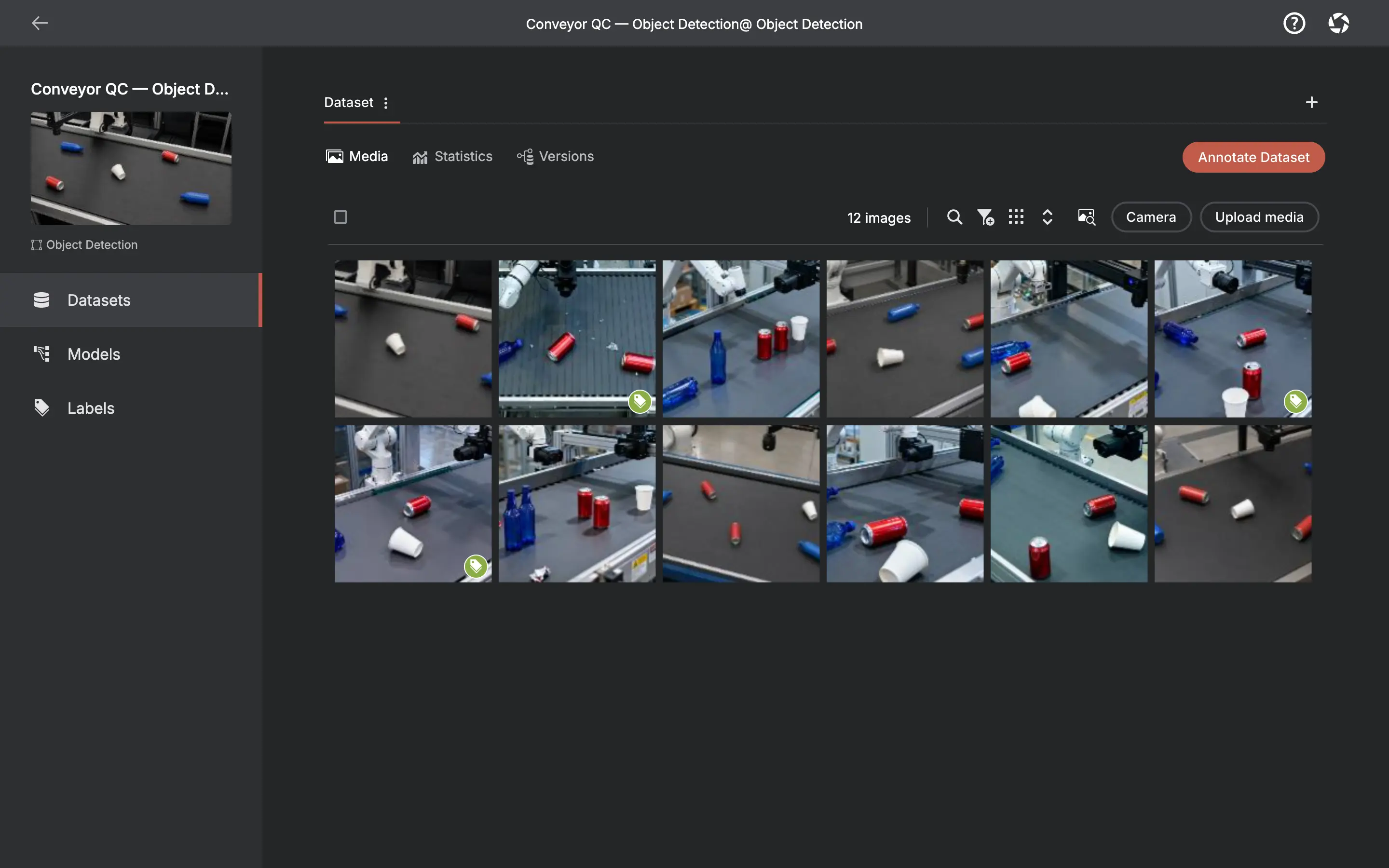 AnnotateIt media grid showing dataset thumbnails with annotation status indicators.