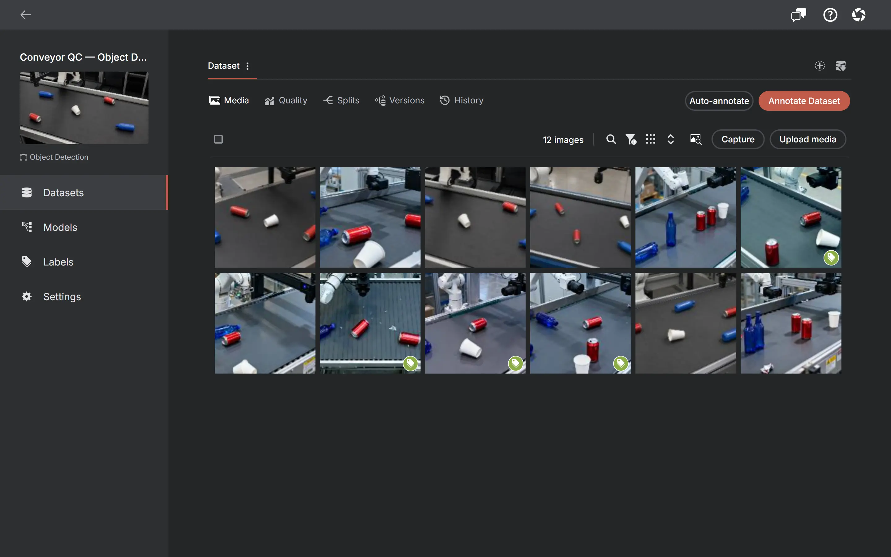 AnnotateIt media grid showing dataset thumbnails with annotation status indicators.